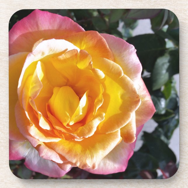 Posavasos amarillo y rosa (Frente)