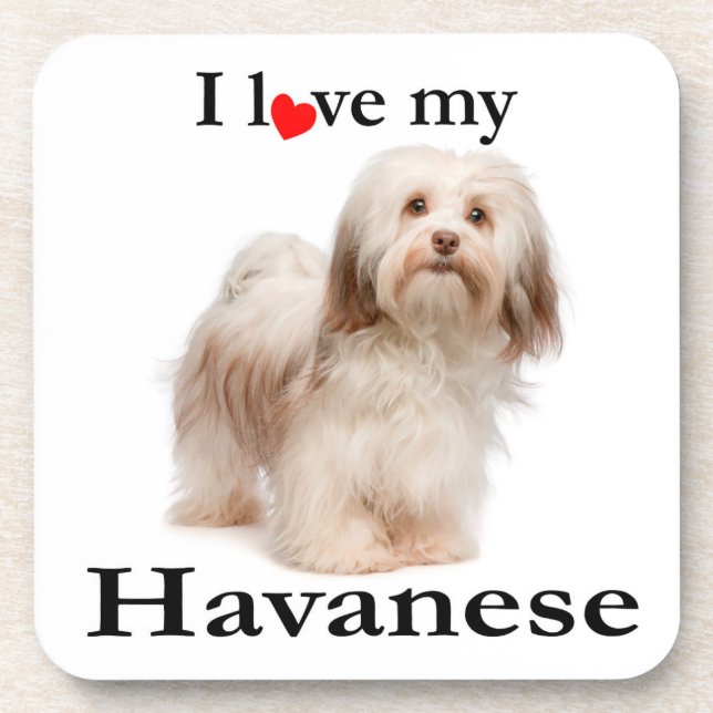 Posavasos Ame mi sistema del práctico de costa de Havanese (Frente)