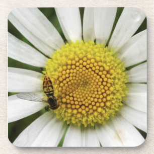 Posavasos Ámeme, ámeme no práctico de costa del corcho