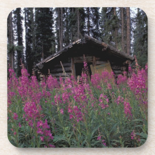 Posavasos América del Norte, Canadá, Yukón. Trapos abandonad