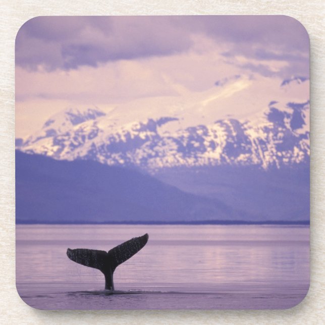 Posavasos América del Norte, EE.UU., Alaska, Paso interno. (Frente)