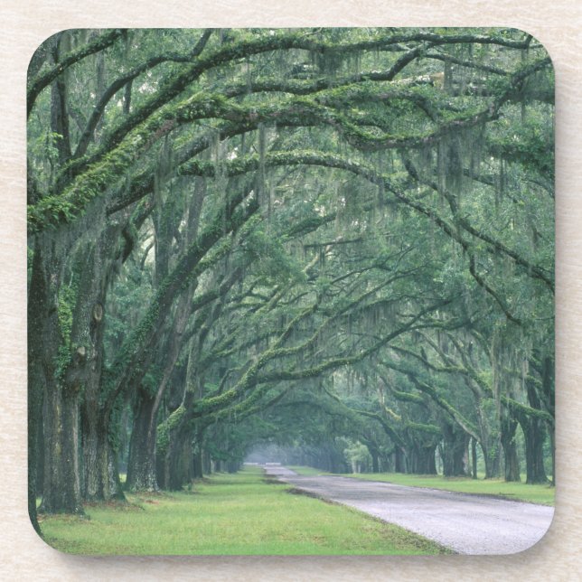 Posavasos América del Norte, Estados Unidos, Georgia, Savann (Frente)