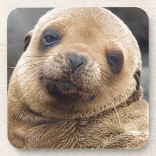 Posavasos América del Sur, Ecuador, Islas Galápagos