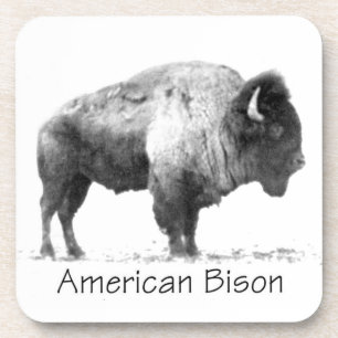 Posavasos American Bison