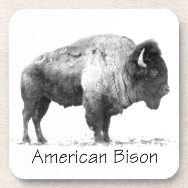Posavasos American Bison (Frente)
