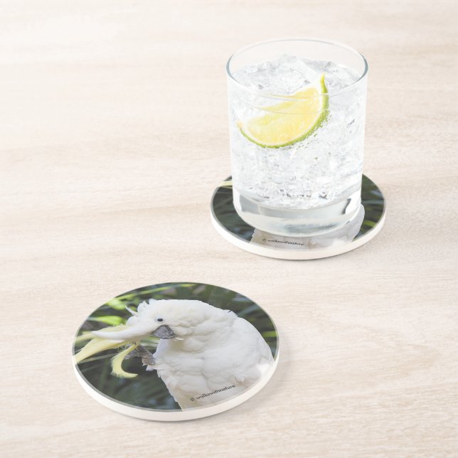 Posavasos Amigable cococo loro de aves en Paparazzi (Lado)