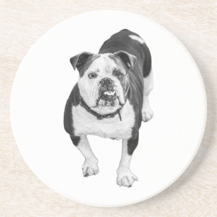 Posavasos Amigo de Invierno, Coaster Bulldog