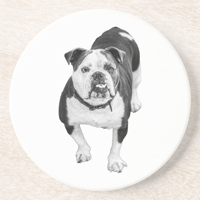 Posavasos Amigo de Invierno, Coaster Bulldog (Frente)