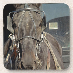 Posavasos Amish Buggy Horse