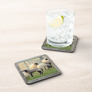 Posavasos ¡Amish Lambs y Ovejas! 6
