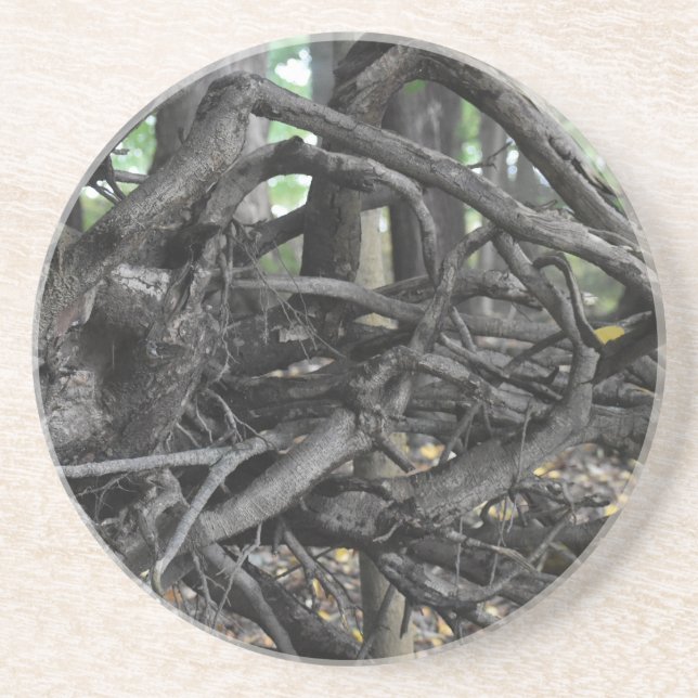 Posavasos Amor a un árbol caído (Frente)