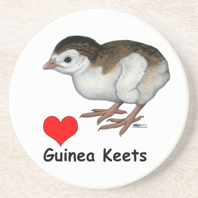 Posavasos Amor Guinea Keets (Frente)