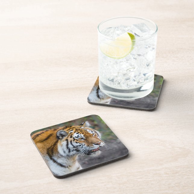 Posavasos Amur tiger (Lado Derecho)