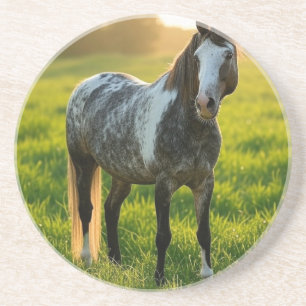 Posavasos Añadir Personalizar de fotos de caballos