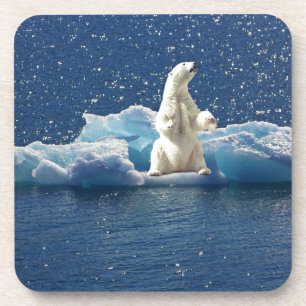 Posavasos Añadir SLOGAN para salvar el hielo polar del plane