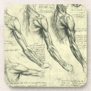 Posavasos Anatomía del brazo y del hombro de Leonardo da Vin