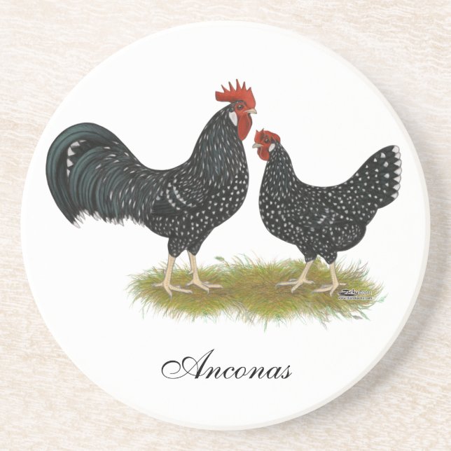 Posavasos Ancona Chickens (Frente)