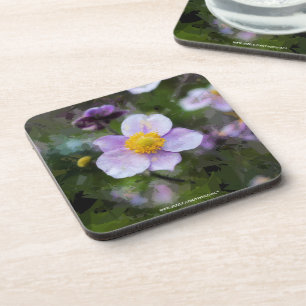 Posavasos Anémona