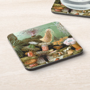 Posavasos Anémonas de mar Vida marina, Animales marinos vint