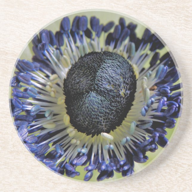 Posavasos Anemone Mistral Panda (Frente)