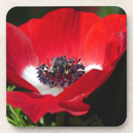 Posavasos Anemone rojo.JPG