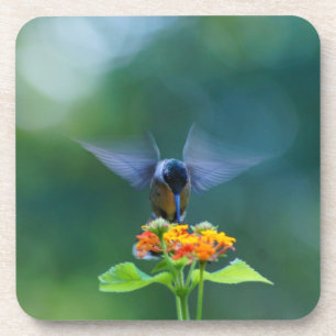 Posavasos Angel Wings Hummingbird