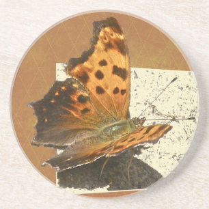 Posavasos Angle Wing Comma Butterfly Series
