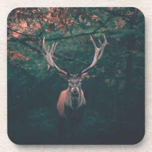 Posavasos Animal salvaje Buck Deer