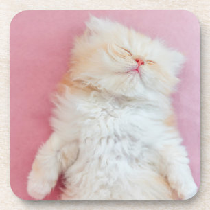Posavasos Animales de bebé más afectados Agradable Gatito