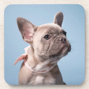 Posavasos Animales de bebé más afectados Bulldog francés d