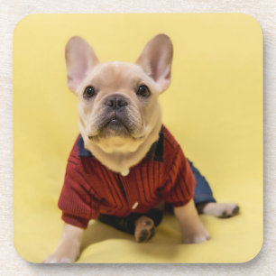 Posavasos Animales de bebé más afectados Bulldog francés V