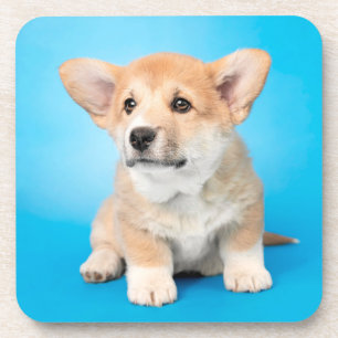 Posavasos Animales de bebé más afectados Cachorro de Corgi