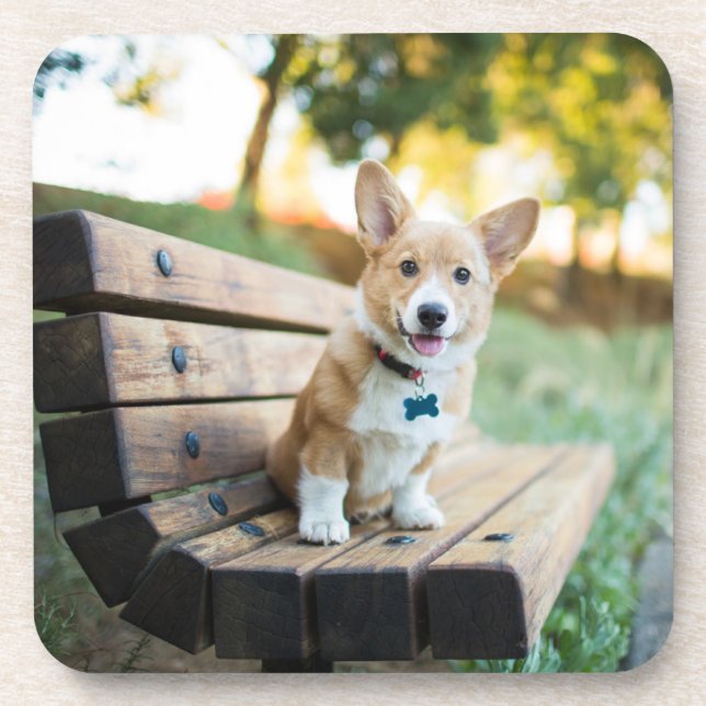 Posavasos Animales de bebé más afectados | Cachorro de Corgi (Frente)