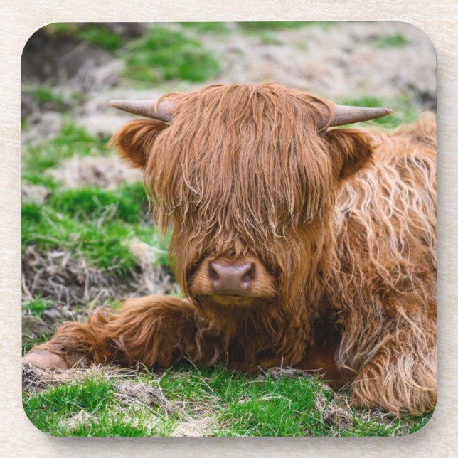 Posavasos Animales de bebé más afectados | Calf de vaca de m (Frente)