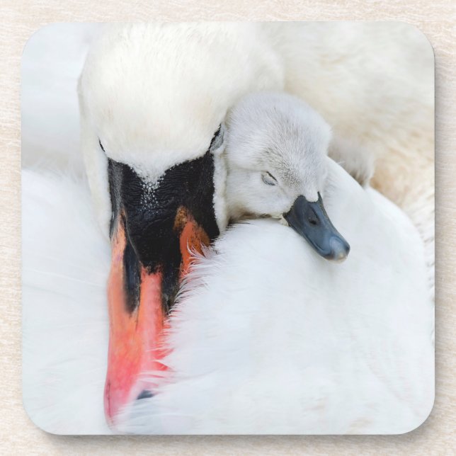 Posavasos Animales de bebé más afectados | Cisne de mamada m (Frente)