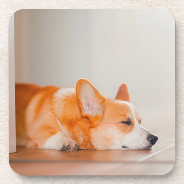 Posavasos Animales de bebé más afectados | Corgi Sleeping (Frente)