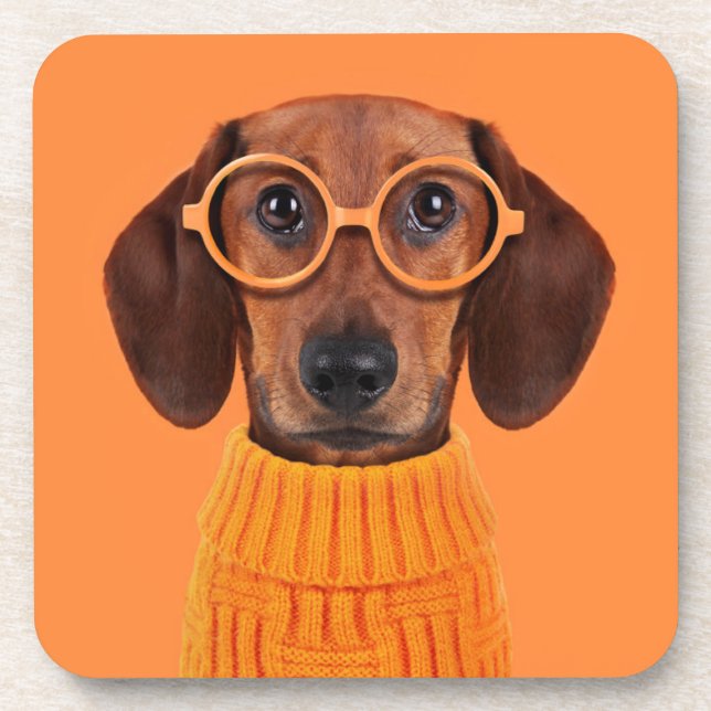 Posavasos Animales de bebé más afectados | Dachshund Naranja (Frente)