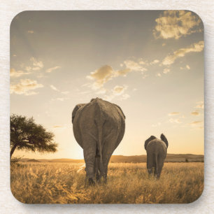 Posavasos Animales de bebé más afectados Elefante Calf y M