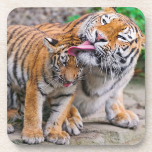 Posavasos Animales de bebé más afectados Familia Tigre sib