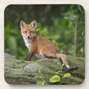 Posavasos Animales de bebé más afectados Foxy Smile