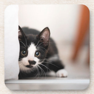 Posavasos Animales de bebé más afectados   Gatito blanco y n