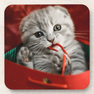 Posavasos Animales de bebé más afectados   Gatito de peluche