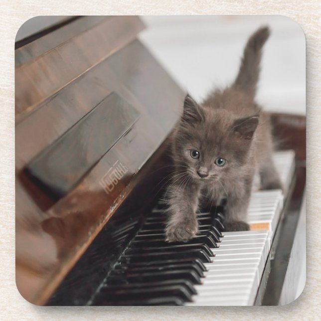 Posavasos Animales de bebé más afectados | Gatito en piano (Frente)