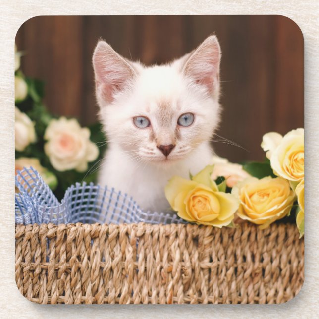 Posavasos Animales de bebé más afectados | Gatitos y rosas a (Frente)