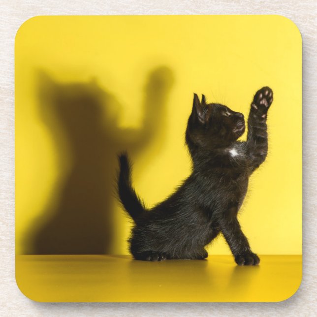 Posavasos Animales de bebé más afectados | Jugar al gato neg (Frente)