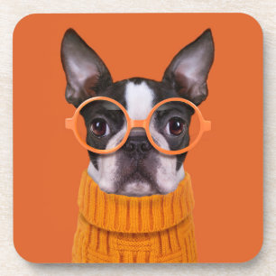 Posavasos Animales de bebé más afectados   Naranja Boston Te
