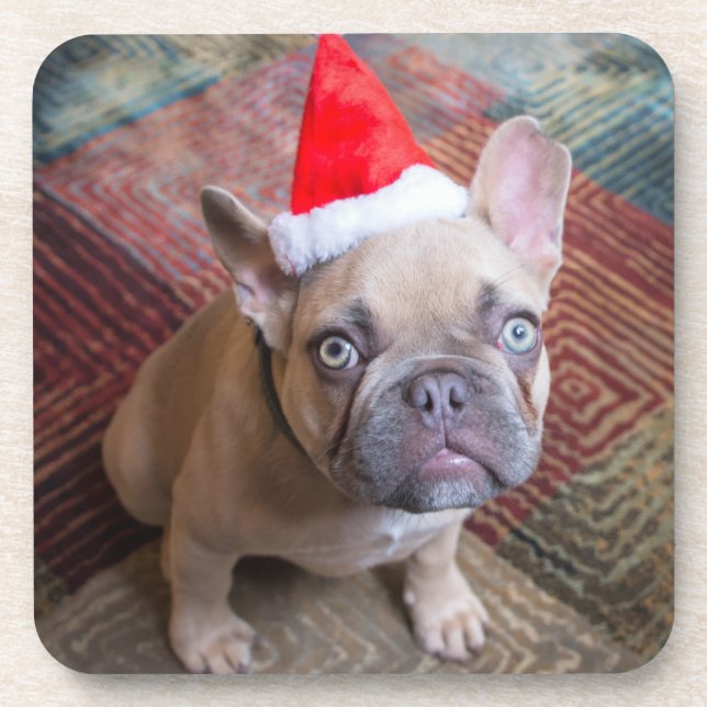 Posavasos Animales de bebé más afectados | Navidades de Bull (Frente)