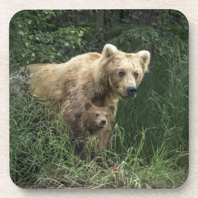 Posavasos Animales de bebé más afectados | Oso Mamá Oso Y Su (Frente)