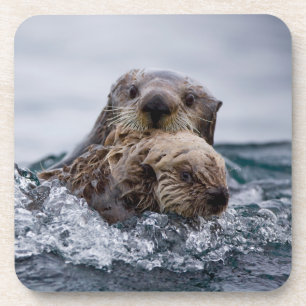 Posavasos Animales de bebé más afectados Otter Baby & Moth