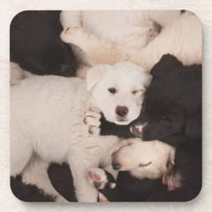 Posavasos Animales de bebé más afectados Pila de cachorros